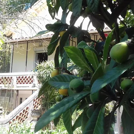 Maison d'hôtes L'îlot bambou-2